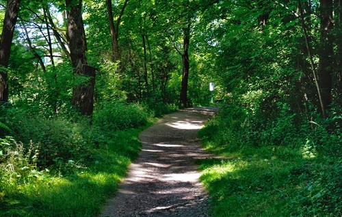Dlaczego G&oacute;rka Narodowa to dziś jedno z najbardziej pożądanych miejsc do zamieszkania w Krakowie?